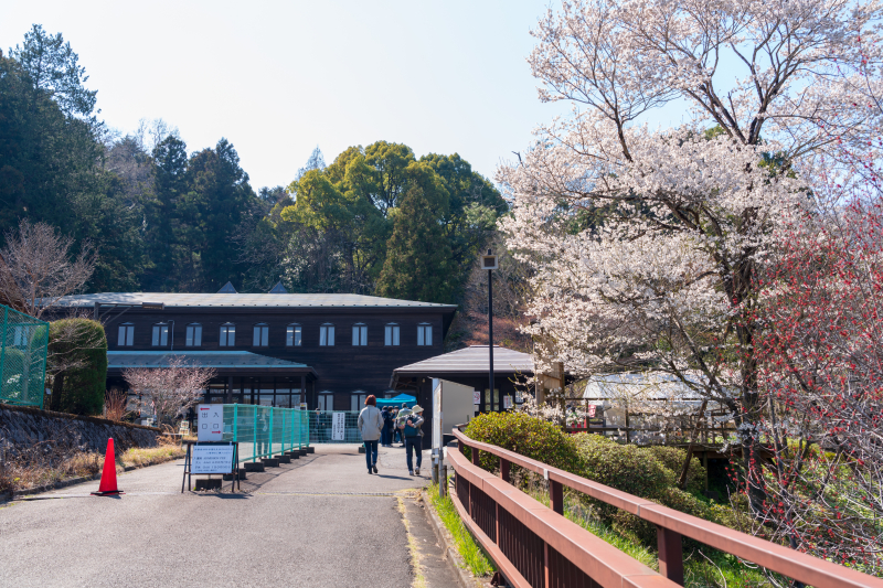 八王子観光選 在住歴30年の地元民が選ぶ八王子観光のおすすめスポットまとめ Tabiyori どんな時も旅日和に