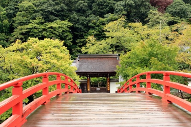 五重塔と紅葉の競演・室生寺