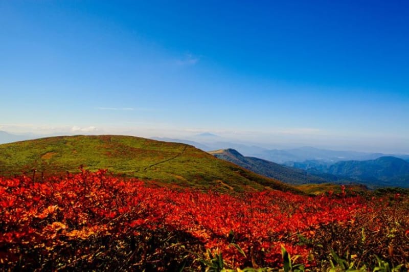 紅葉の見ごろは9月下旬から
