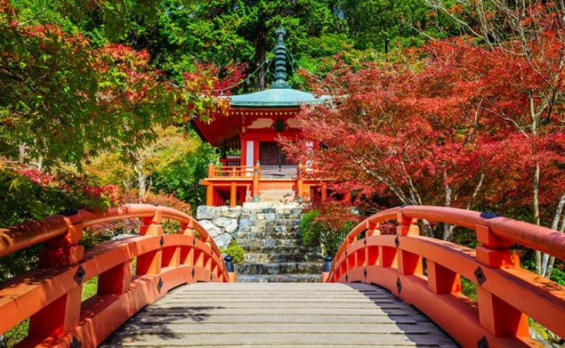 醍醐寺はココ