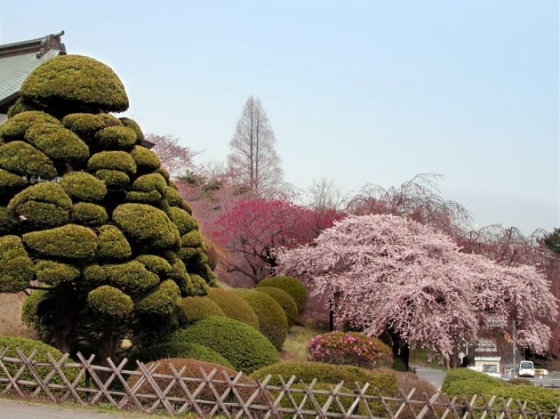 塩釜神社の風景