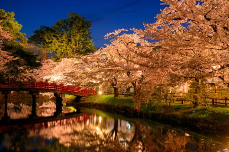 「春」に桜の見どころといえば、弘前城