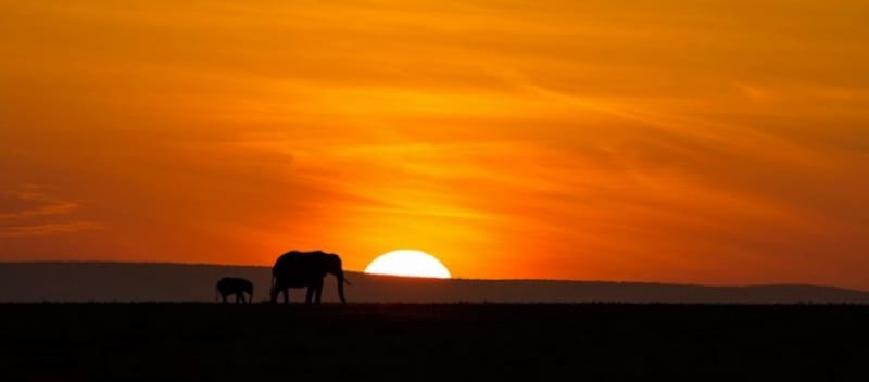 絶対見たい!アフリカの大地に沈む夕日