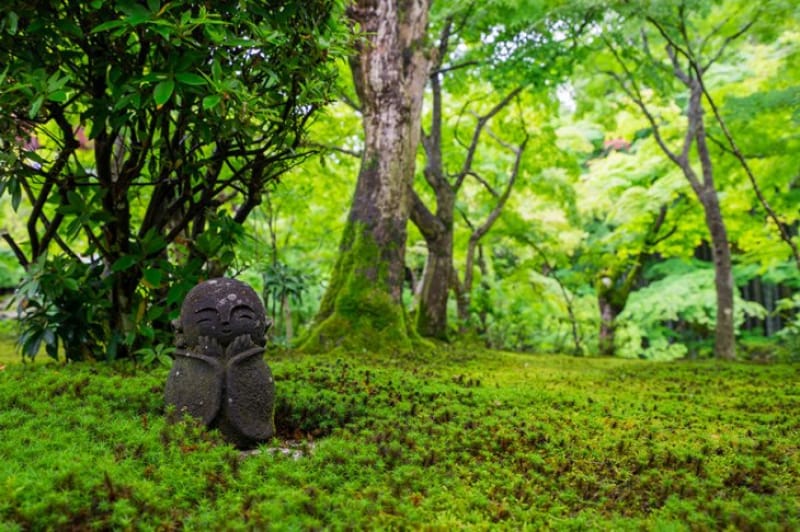 美しい庭園が評判の寺院