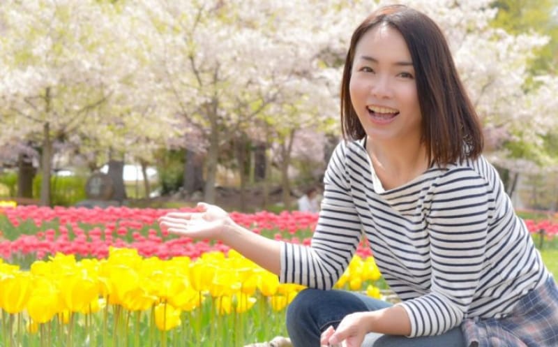 96929:春満開の国営アルプスあずみの公園ではチューリップが満開!