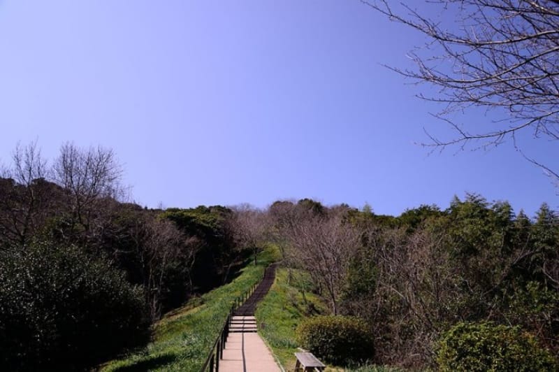 紅葉まつりも開催・白野江植物公園