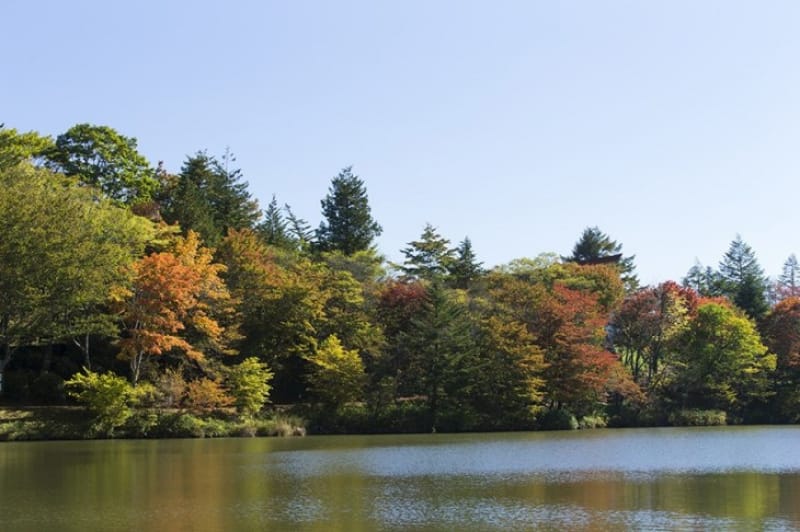 県内で最初に紅葉が色付く・天竜奥三河国定公園