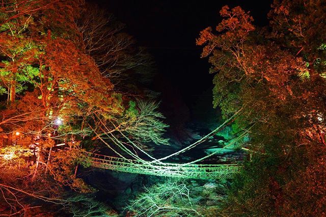 大歩危のおすすめ観光スポット15選 徳島県生まれ徳島県育ちの地元民が紹介 Tabiyori どんな時も旅日和に Part 2