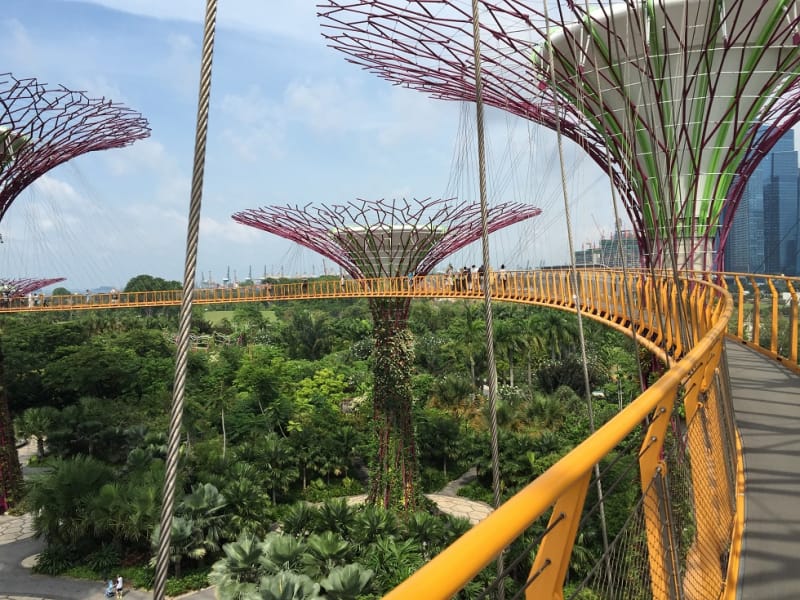 ナイトサファリは夜行性動物の動物園 攻略法と楽しみ方を大公開 Tabiyori どんな時も旅日和に