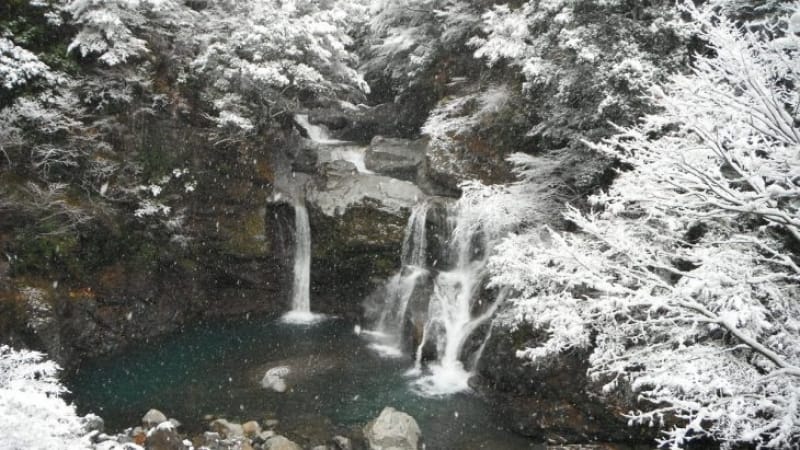 94342:滝と林道の後、温泉と鹿肉で保養しましょう