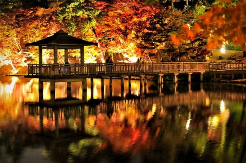池面に映る夜の紅葉・東公園
