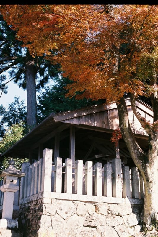 見所の多い名所・吉野山(中千本)