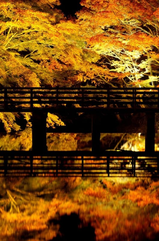 紅葉のアーチが美しい・岩屋堂公園