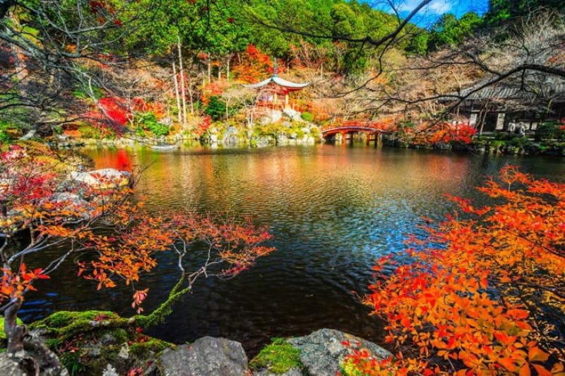 特別名勝にも指定される美しい庭園の風景