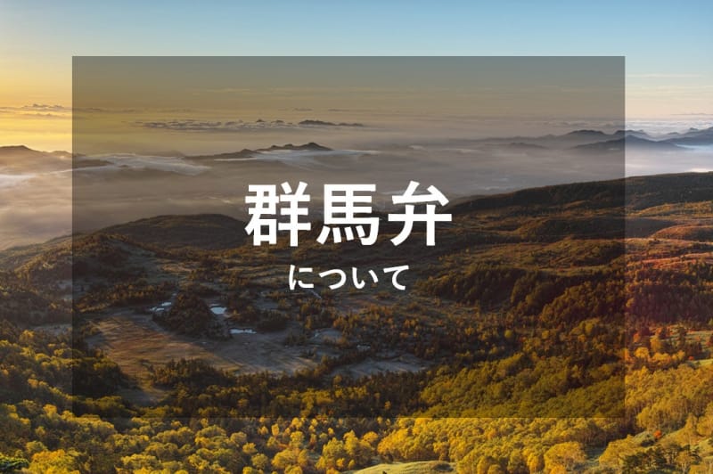 群馬弁まとめ あさはん なから ぶっちゃく いったいどんな意味 Tabiyori どんな時も旅日和に