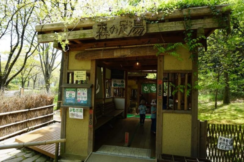 97189:歩き疲れたら森の足湯へ