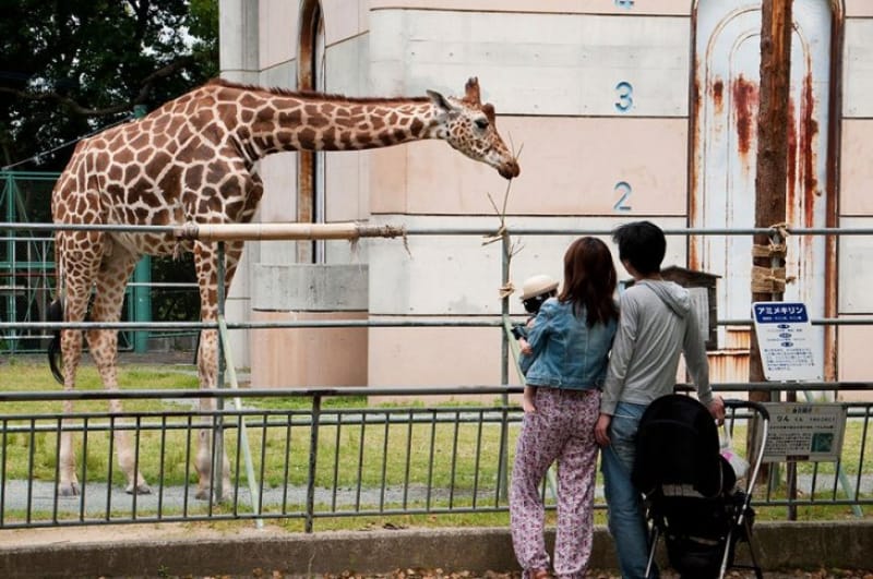 大牟田市動物園で動物たちと触れ合おう