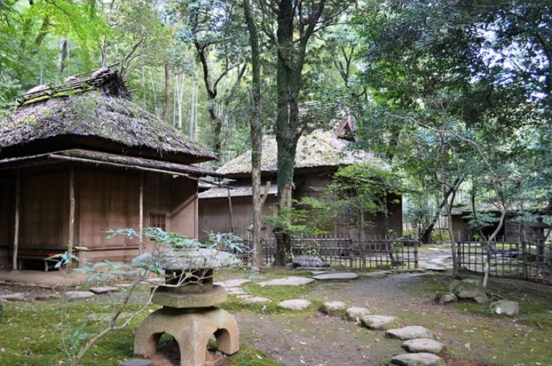 菩提の祈りと紅葉の美しさ・立田自然公園