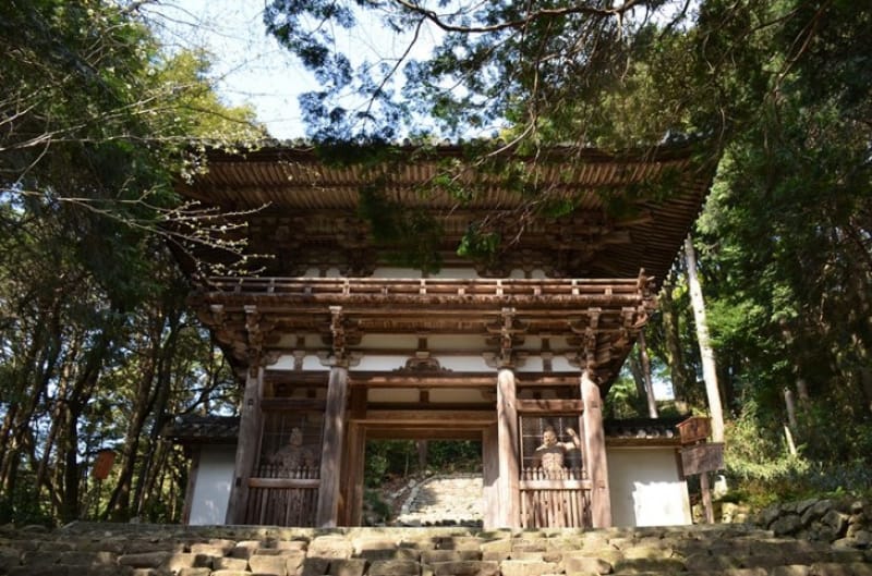 大手門からの道は広くてまっすぐ