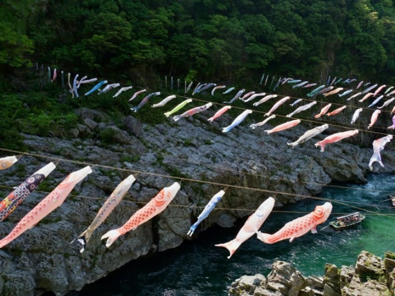 大歩危峡の鯉のぼり