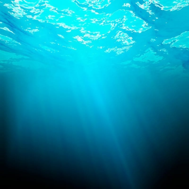 美しい水中からの海の眺め