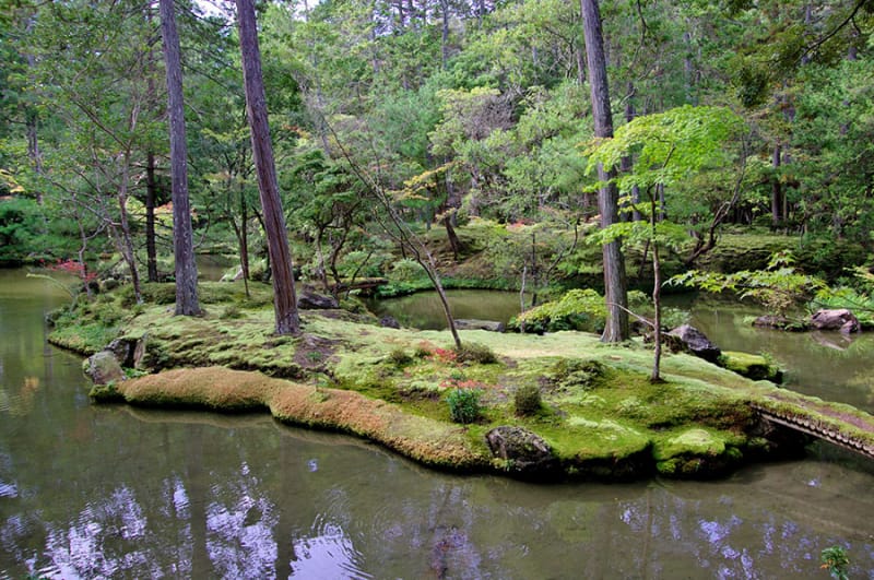 TOP8 西芳寺(苔寺)/京都