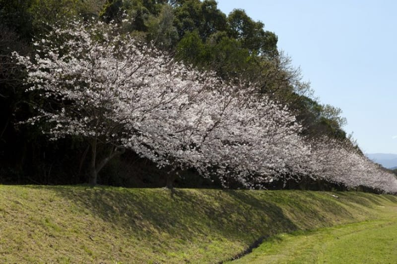土塁と石垣