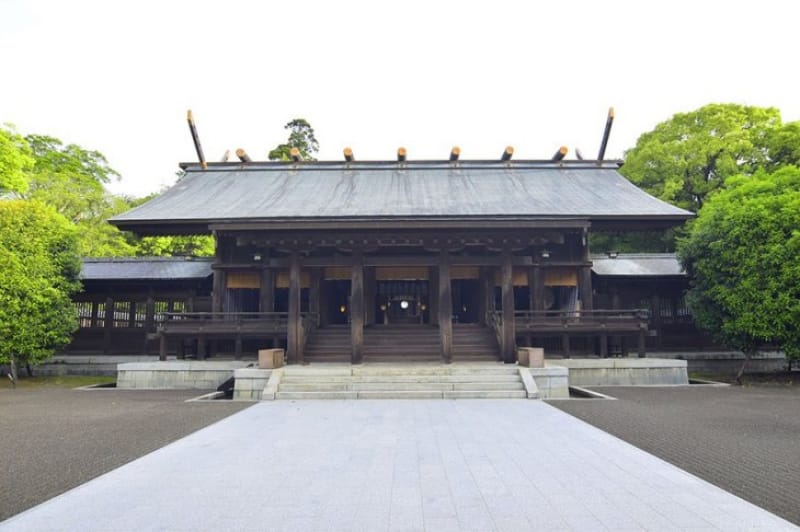 天然記念物の藤の花 宮崎神宮