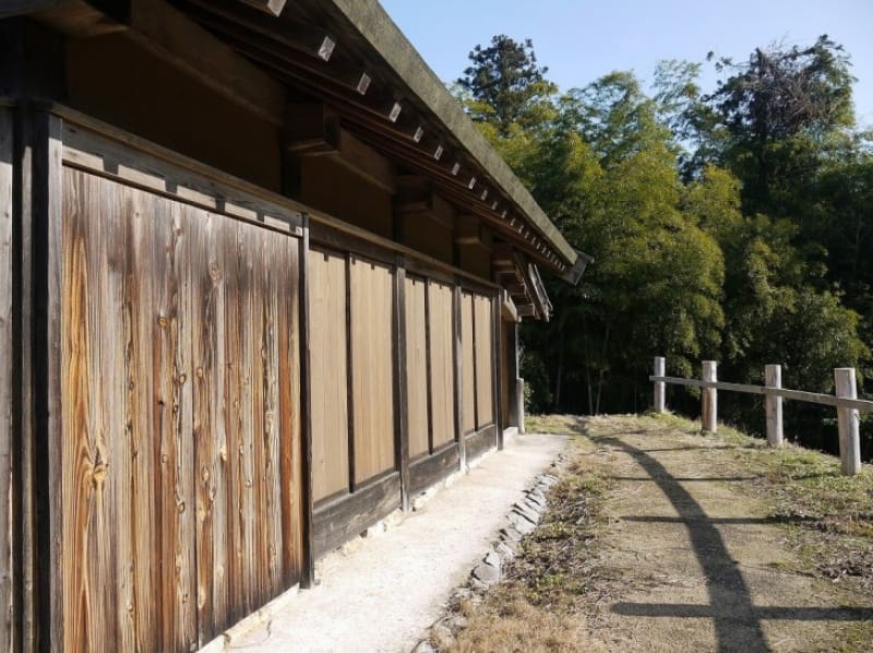 少年時代から容姿端麗で知られる