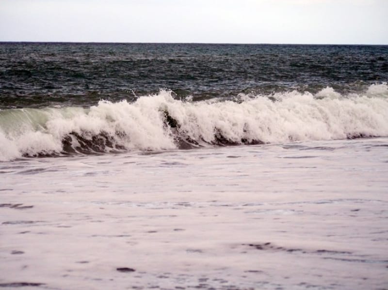 日本海の海の様子です。