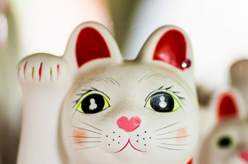 白い猫と直孝のお話