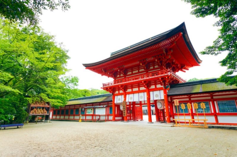 京都市内で最も遅い紅葉が見られる・下鴨神社