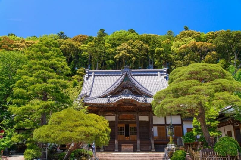 修善寺は鎌倉幕府の二代目将軍頼家が殺害されたところです