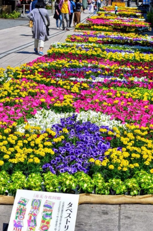 長野県 牛にひかれて善光寺参り 善光寺花回廊ながの花フェスタ17 レポート Tabiyori どんな時も旅日和に