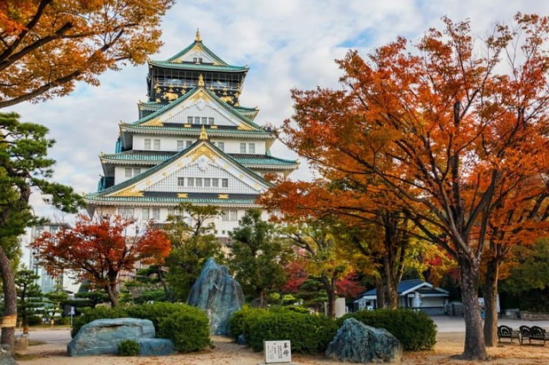 イチョウ並木は圧巻・大阪城公園