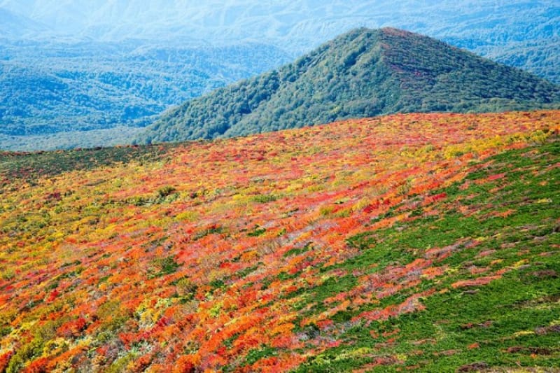 栗駒山とは?