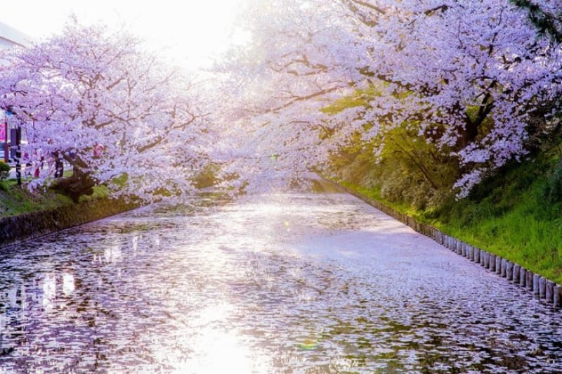 日帰りの場合
