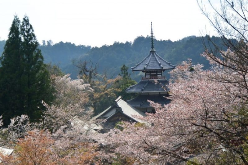 100439:古都・奈良の絶景は金峯堂山にあった…