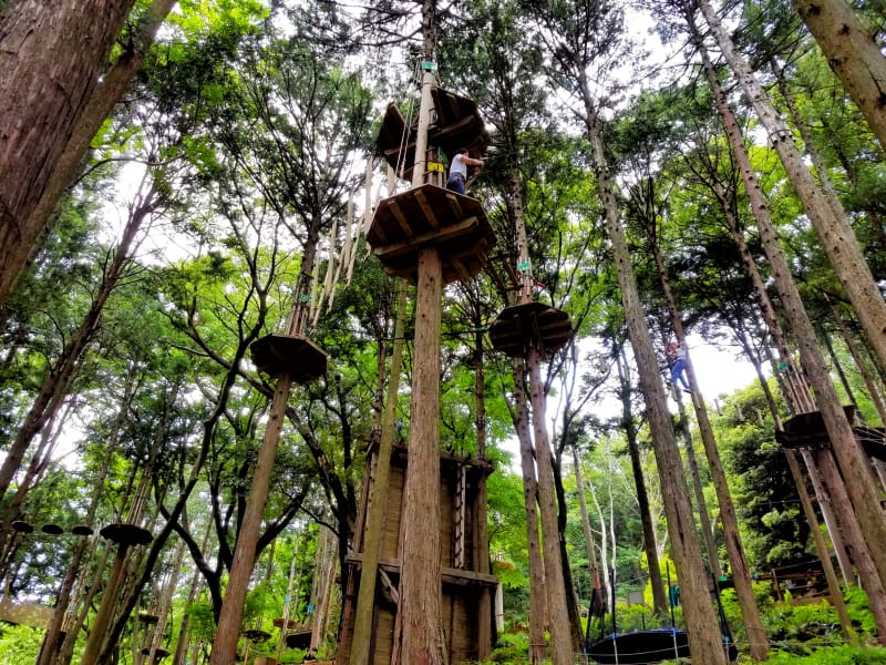 フォレストアドベンチャー箱根は木の上でアスレチックが楽しめるスポット Tabiyori どんな時も旅日和に
