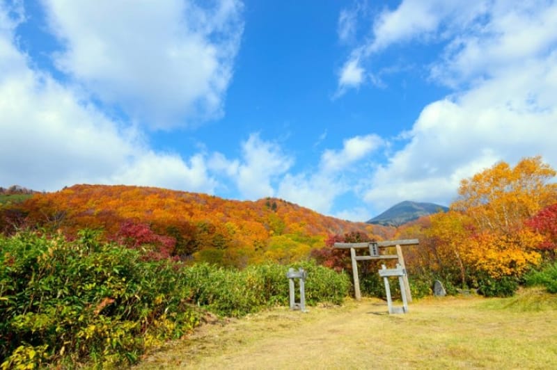 八甲田の大動脈・八甲田ロープウェー