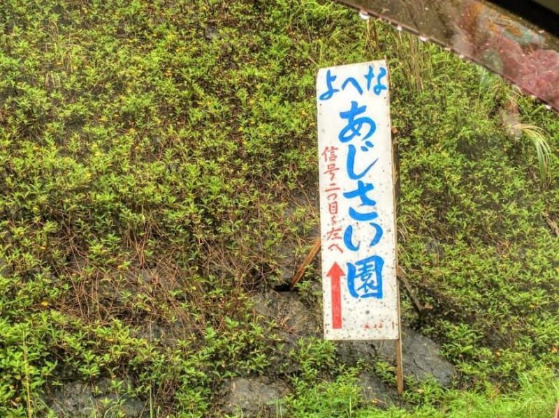 98463:2.よへなあじさい園へのアクセス