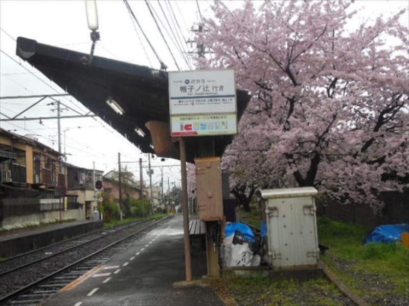 96712:不思議を感じる石庭を見に!