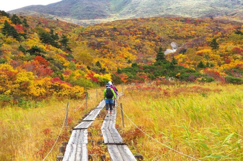 実は呼び名も沢山ある