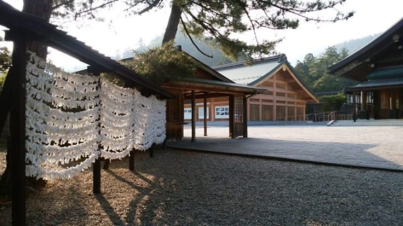 101979:出雲大社だけの「お祈り」がある?!
