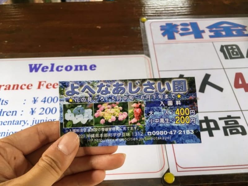 98465:3.よへなあじさい園をめぐります
