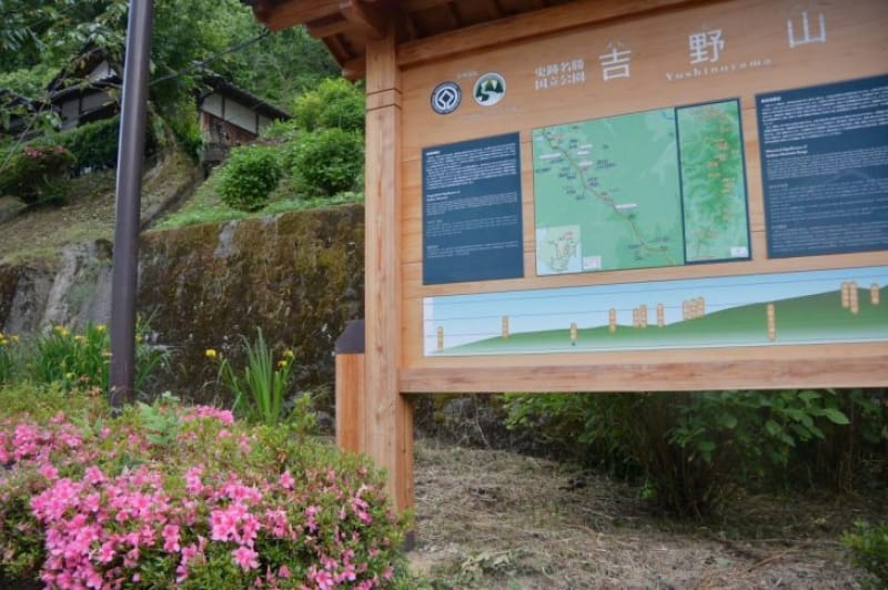 100205:少し遅めに咲く山桜