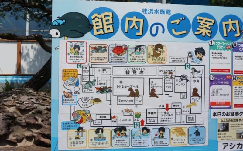 99895:桂浜水族館の見どころをご案内