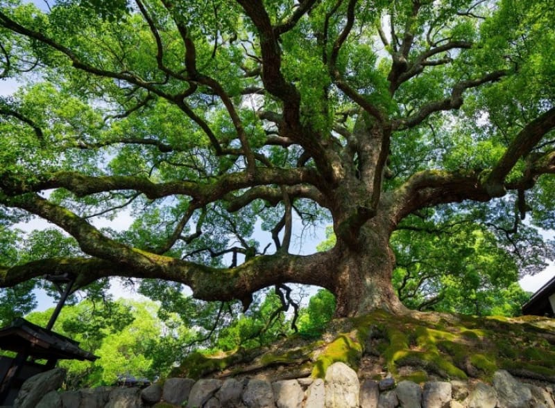 末法の世に生きる衆生を憂うこころ
