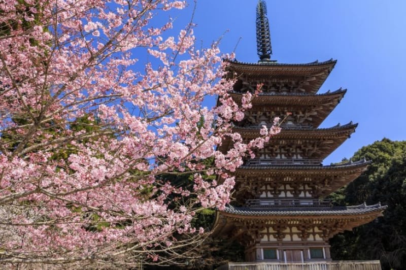 2.醍醐寺の見どころは?