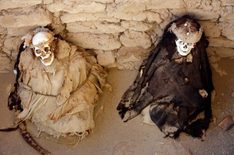 先住民や古代生物のミイラ・化石が出土する土地